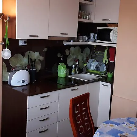 Pensionat Dom Lidiya 3*